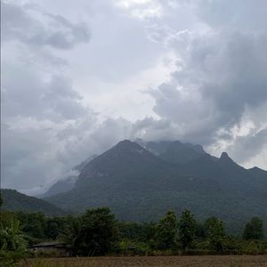 Meet your Posher, Philip